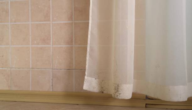 Mold Removal for HVAC Installations in Apple Valley, CA