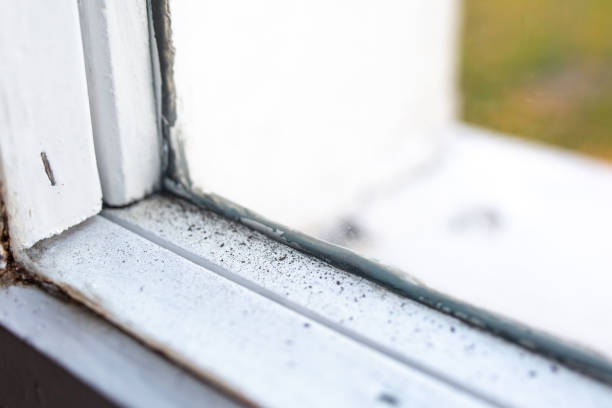 Best Residential Mold Inspection & Testing  in Apple Valley, CA