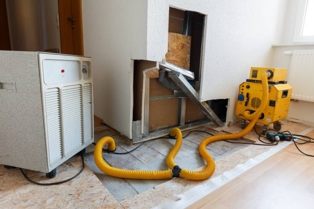 Best Mold Removal for HVAC Installations  in Apple Valley, CA