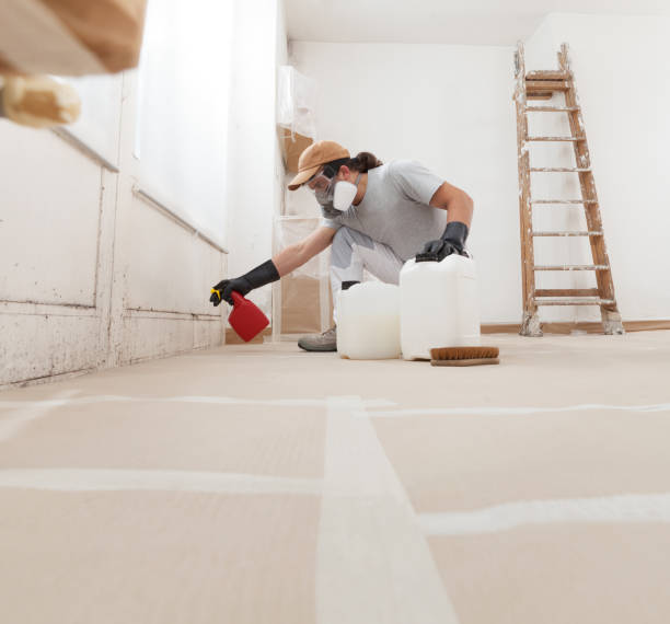 Best Commercial Mold Inspection  in Apple Valley, CA